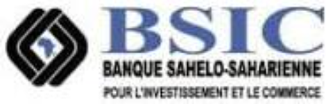 29-bsic
