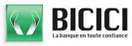 33-bicici